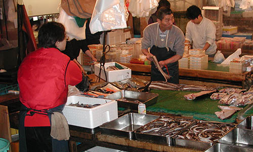 Eel being prepared at Tsukiji market, Tokyo.